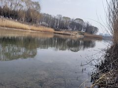 -大兴滨河森林公园