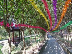 -武汉紫薇都市田园