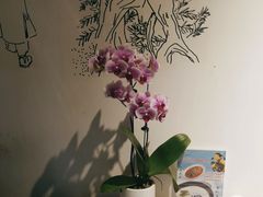 -紫腾大院·南京菜(江宁店)