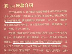 -安阳博物馆