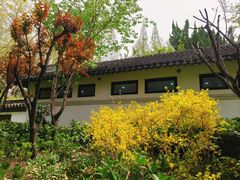 -汇龙潭