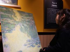 -印象莫奈时光映迹艺术展