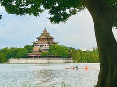 -顺峰山公园