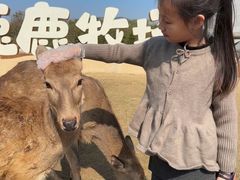 -盈香心动乐园