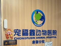 -宠福鑫康馨动物医院·骨科·眼科