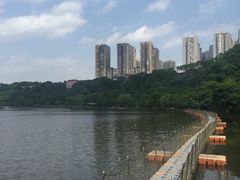 -重庆彩云湖湿地公园