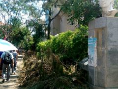 -黄胜记鼓浪屿肉松店(龙头路店)