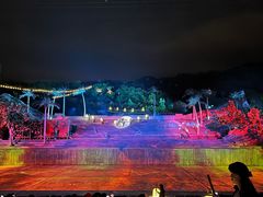 -三亚红色娘子军演艺公园景区