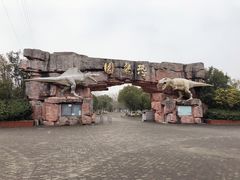 -上海海湾国家森林公园