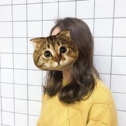 -黛蓝形象定制