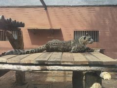 -青藏高原野生动物园