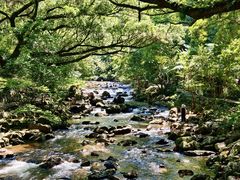 -广州市石门国家森林公园