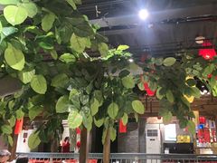 -北平盛世·新京菜·北京烤鸭(劲松·双井店)