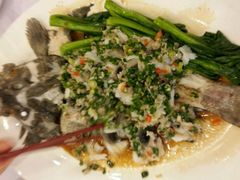 android_upload_pic-宜宾海鲜酒家·三十年老字号