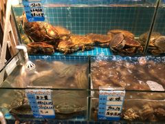 -烧货·活海鲜炭烧(湖滨商业街店)