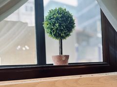 -春风·有糖(崇宁路店)