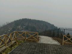 -巫山烤全鱼(富康京科苑路店)
