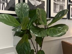 -一尺花园(安和花园店)