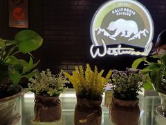 -遇见西木美式餐厅(体育路店)