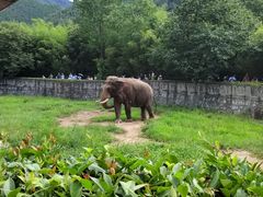 -西安秦岭野生动物园