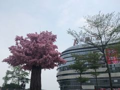 -奈雪的茶(漫广场店)