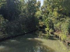 -同里国家湿地公园