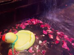 -北京美神宫艺术主题温泉酒店
