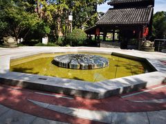 -活水公园