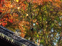 -灵谷景区
