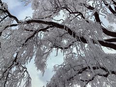 -秦岭终南山世界地质公园翠华山景区