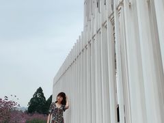 -紫颐香薰山谷景区