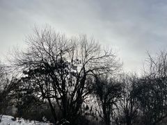 -太子岭滑雪场