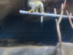 -蓬莱欧乐堡海洋极地世界