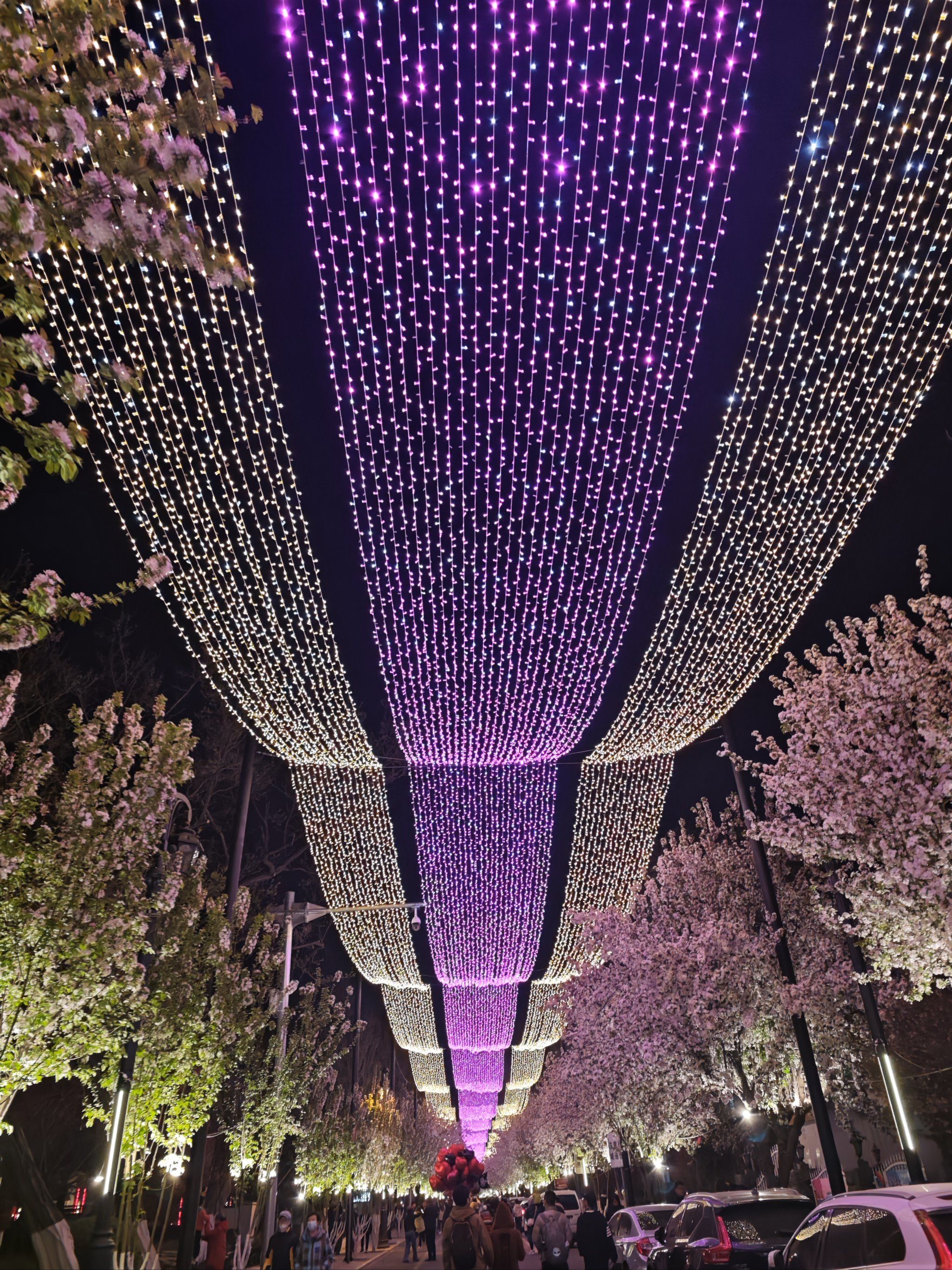 天津五大道之大理道的繁花夜景