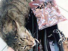 -么凤(波斯富街店)