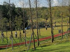-牛岗山公园