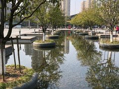 -白塘生态植物园