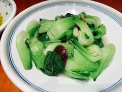 -東大方(湖州白鹭迎店)
