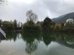 -蝴蝶泉公园
