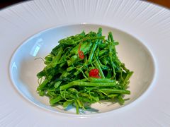 玉琅玕-觀芷隐轩