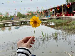 -同銮特种养殖场·龙虾垂钓