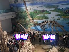 -自贡恐龙博物馆