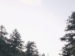 -姑婆山旅游区