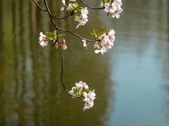 -玄武湖景区-情侣园游乐场