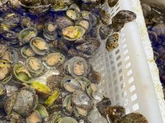 -外伶仃岛海鲜市场