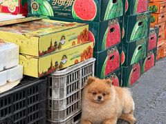 店内环境-西郊国际农产品交易中心