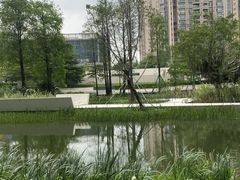 -顺峰山公园