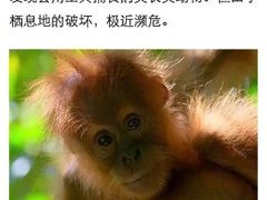 -万象影城(杭州萧山万象汇店)