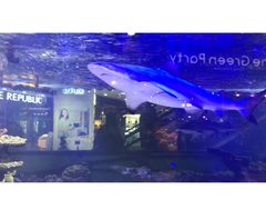 -凯德广场(学府店)