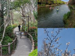-新江湾城公园